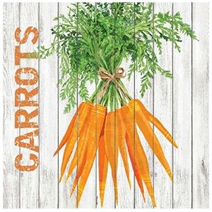 Paperproducts Design "Harvest Carrots" Paper Cocktail Beverage Napkins, 20 ct